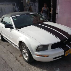 מדבקות לרכב